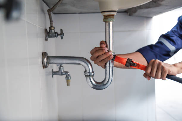 Best Sewer Line Repair  in Western Springs, IL