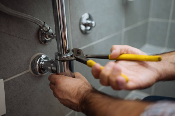 Western Springs, IL Plumbing Company