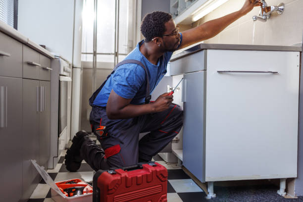 Best Leak Detection Services  in Western Springs, IL