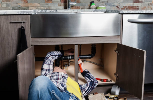 Best Affordable Plumbing Services  in Western Springs, IL