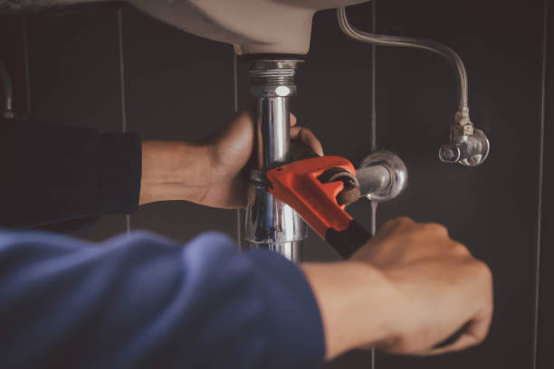 Best Plumbing Inspection Services  in Western Springs, IL